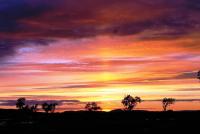 post-4016-0-88305100-1341524084_thumb.jp