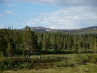 post-6789-0-22556800-1341784621_thumb.jp