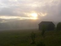 post-7957-0-52707000-1343640623_thumb.jp