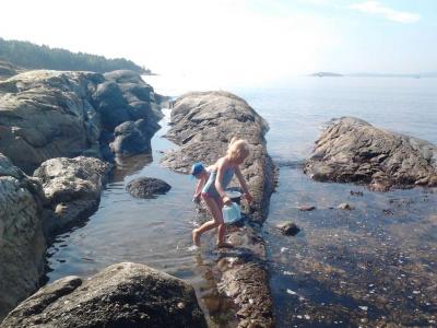 post-11774-0-02324400-1373318374_thumb.j