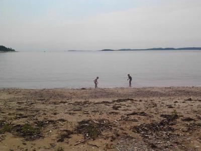 post-11774-0-07293100-1373317949_thumb.j