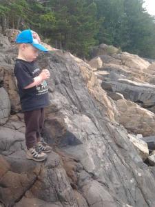 post-11774-0-08027200-1373318252_thumb.j