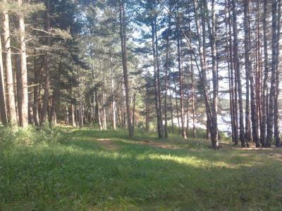 post-11774-0-24781800-1373318106_thumb.j