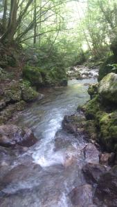 post-4220-0-12590000-1374992157_thumb.jp