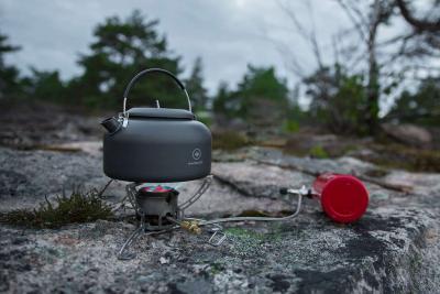 post-6532-0-49886800-1372812130_thumb.jp