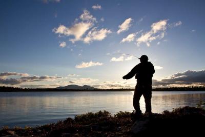 post-7957-0-06108600-1373305059_thumb.jp