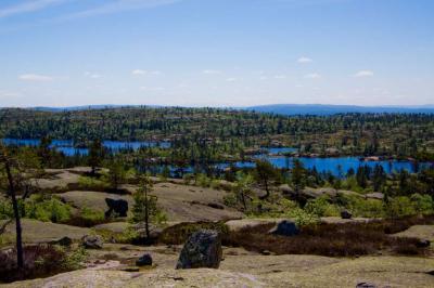 post-7957-0-37282800-1373304997_thumb.jp