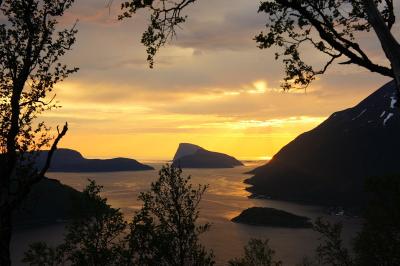 post-7957-0-46193300-1373305056_thumb.jp