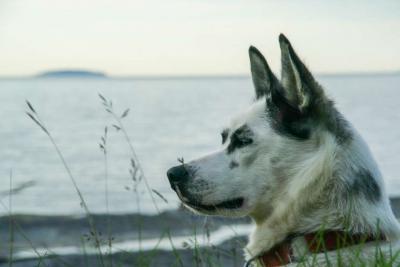 post-7957-0-49250500-1373304945_thumb.jp