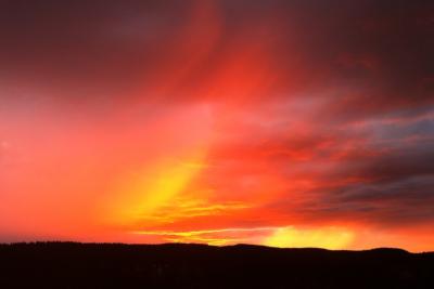 post-7957-0-93295900-1373305007_thumb.jp