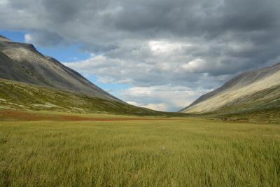 post-8487-0-84995000-1375274600_thumb.jp