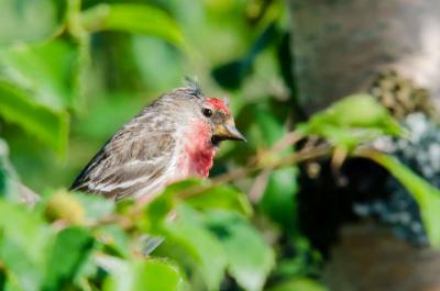 post-8581-0-25961300-1374393742_thumb.jp