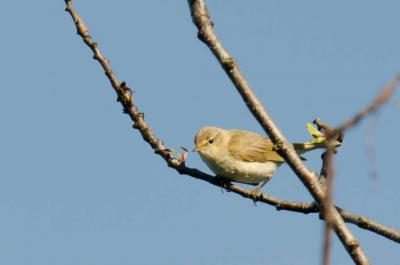 post-8581-0-80322800-1374393863_thumb.jp