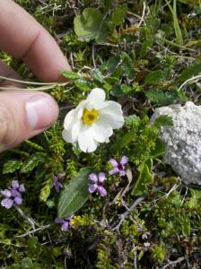 post-8581-0-88602100-1373904270_thumb.jp