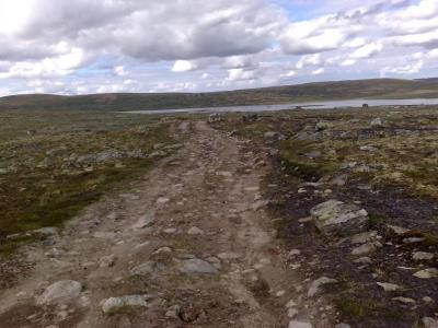 post-1047-0-80812800-1406757728_thumb.jp