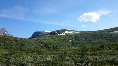 post-12082-0-19147300-1406154782_thumb.j