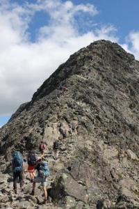 post-12082-0-20244100-1406153716_thumb.j