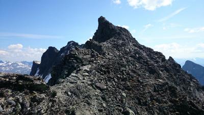 post-12082-0-38294600-1406154570_thumb.j