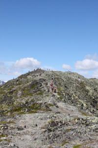 post-12082-0-63841900-1406153548_thumb.j