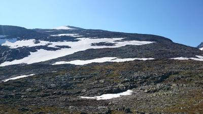 post-12082-0-64745600-1406154266_thumb.j