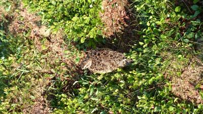 post-12082-0-96984900-1406154779_thumb.j