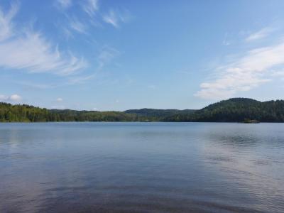 post-12225-0-69545200-1405619801_thumb.j