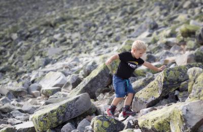 post-12278-0-01937600-1405332895_thumb.j