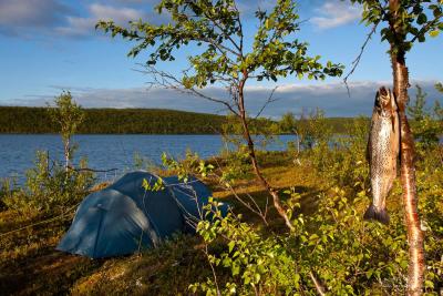 post-13005-0-82299400-1404784340_thumb.j