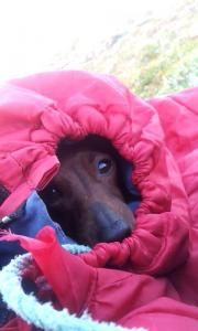 post-13449-0-23806800-1404632288_thumb.j