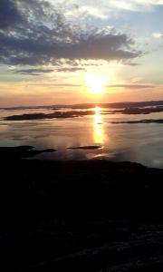 post-13449-0-85535500-1404632267_thumb.j