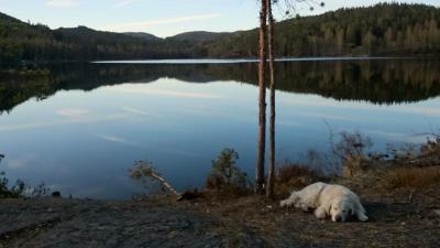 post-14173-0-83147000-1406550428_thumb.j