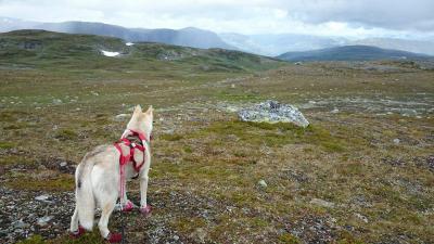 post-15051-0-36345300-1406803572_thumb.j