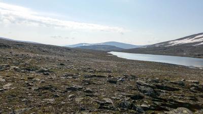 post-4100-0-03513900-1405592812_thumb.jp