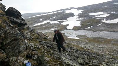 post-4100-0-24016000-1405334065_thumb.jp