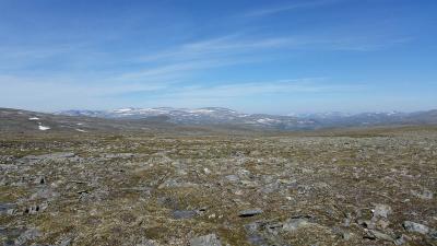 post-4100-0-36091100-1405593087_thumb.jp