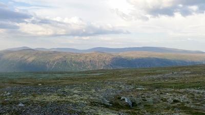 post-4100-0-40794600-1405592808_thumb.jp