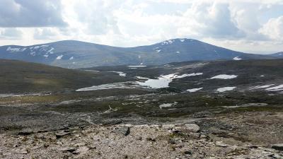 post-4100-0-75740000-1405593084_thumb.jp