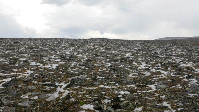 post-4100-0-83488600-1405593085_thumb.jp