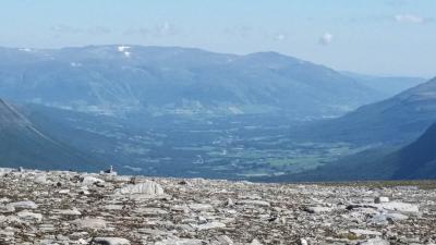 post-4100-0-93859000-1405593087_thumb.jp