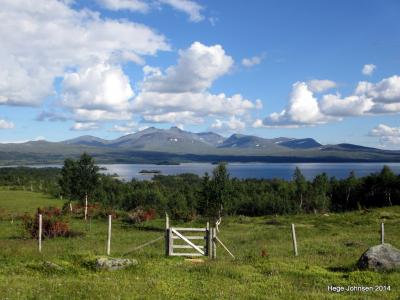 post-4444-0-20320300-1406314735_thumb.jp