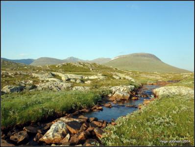 post-4444-0-30047000-1405269406_thumb.jp