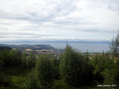 post-4444-0-67287500-1406658207_thumb.jp