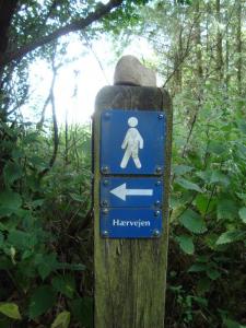 post-5095-0-14230300-1406473749_thumb.jp