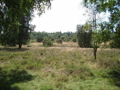 post-5095-0-18775300-1406473410_thumb.jp