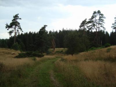 post-5095-0-32030600-1406473739_thumb.jp