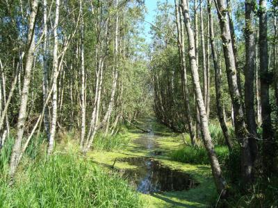 post-5095-0-60469400-1406473413_thumb.jp