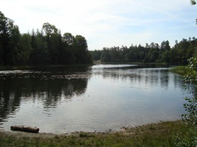 post-5095-0-60521900-1406473416_thumb.jp