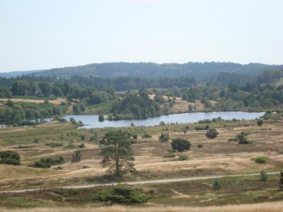 post-5095-0-81138600-1406473755_thumb.jp