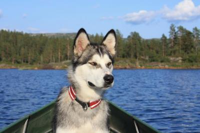 post-5339-0-41887700-1406655722_thumb.jp