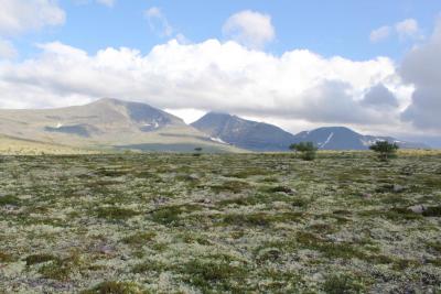 post-8184-0-41308900-1405701990_thumb.jp